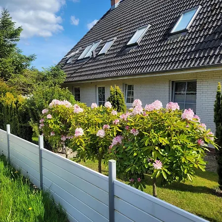 Herzmuschel Apartment